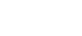 The TransSynergy Group